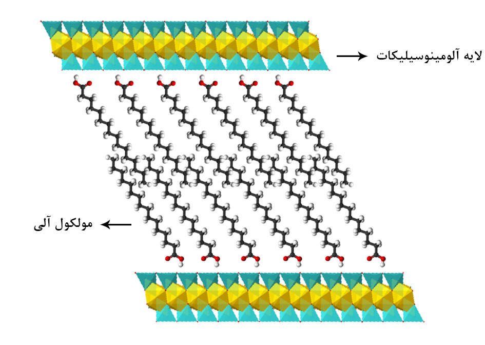 ساختار نانوکلی نانورس Nanoclay structure